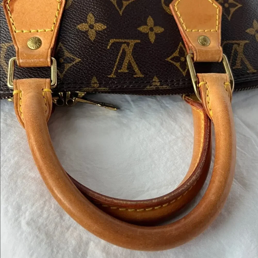 Louis Vuitton Alma PM Monogram Handbag